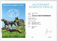 slovensky-sampion-prace.jpg